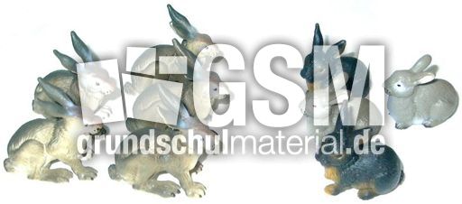 Hasen5+4.jpg